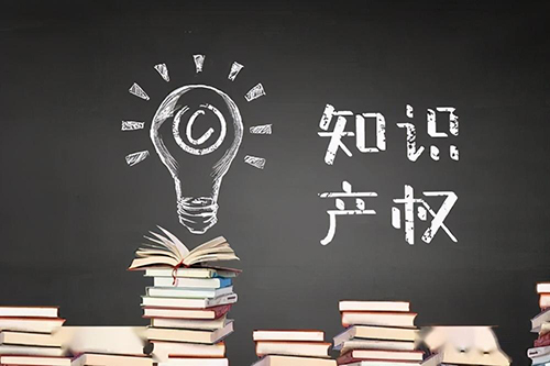 海南法院2023年度知识产权司法保护十大典型案例